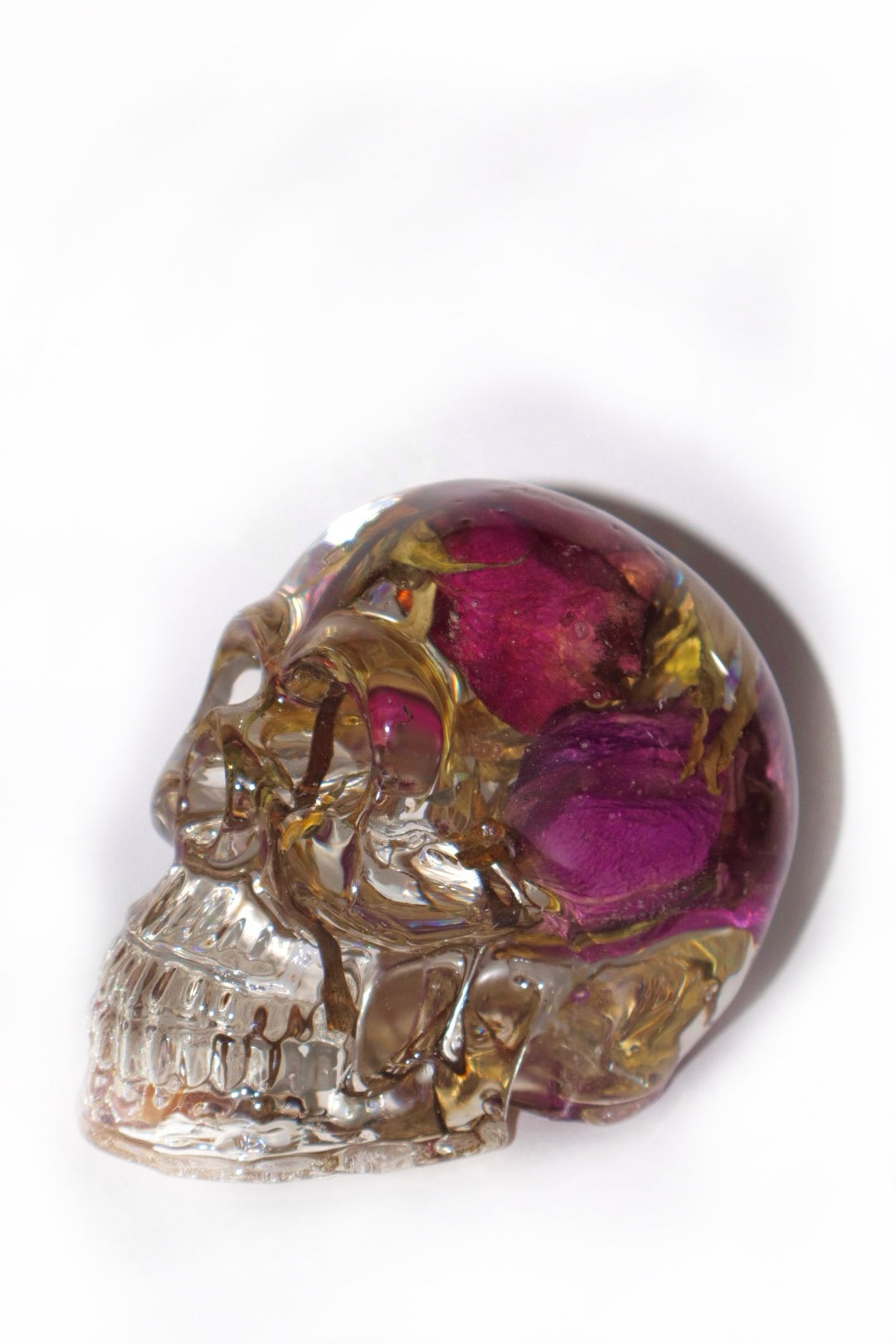 Meadows Skull