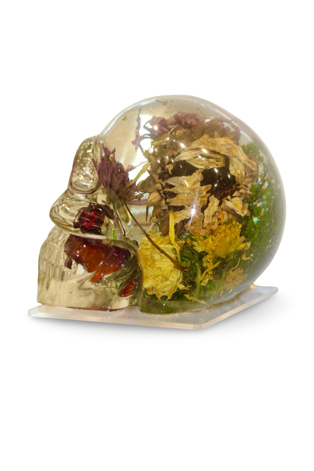 Sunny Skull