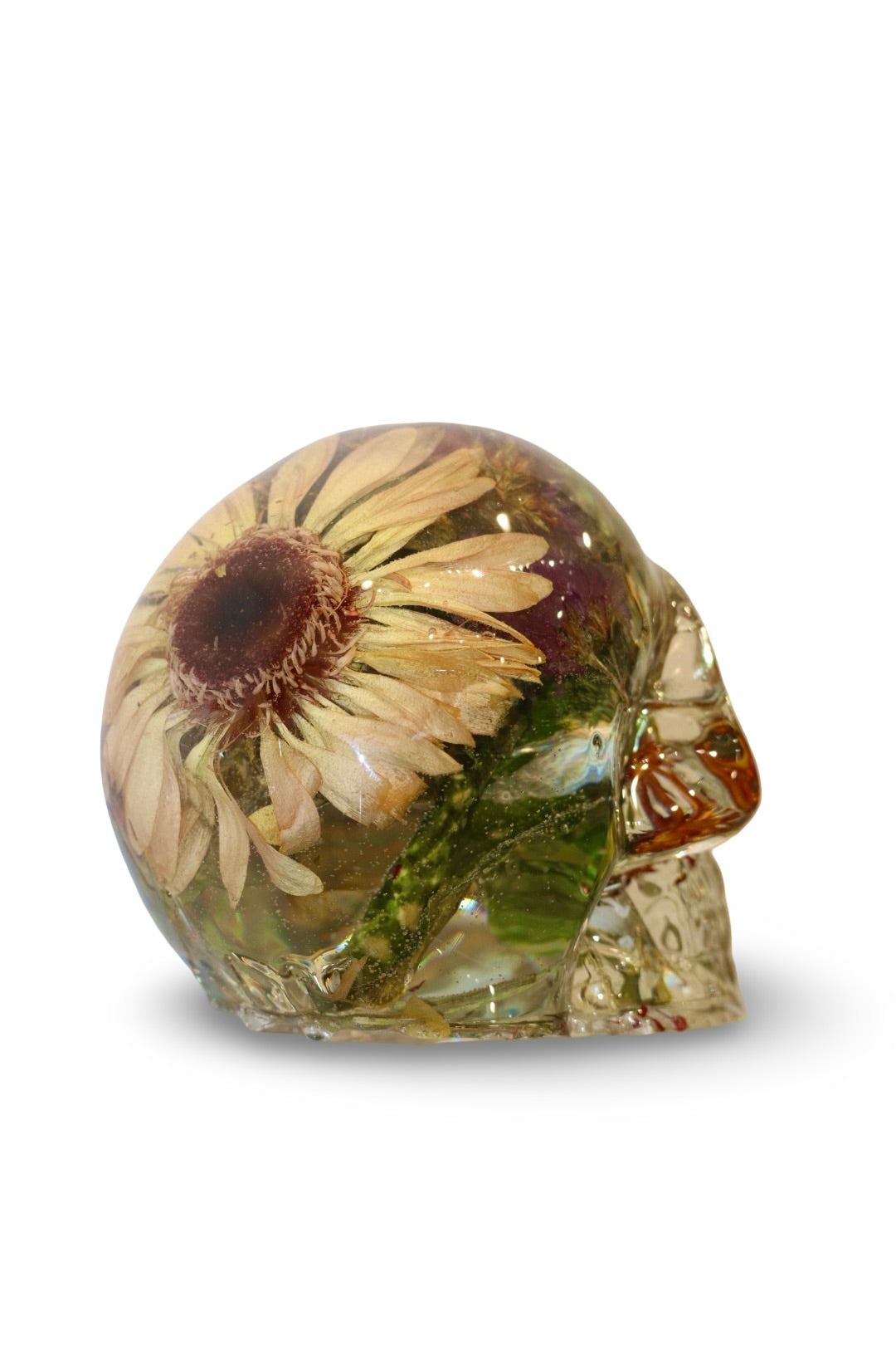 Sara Skull