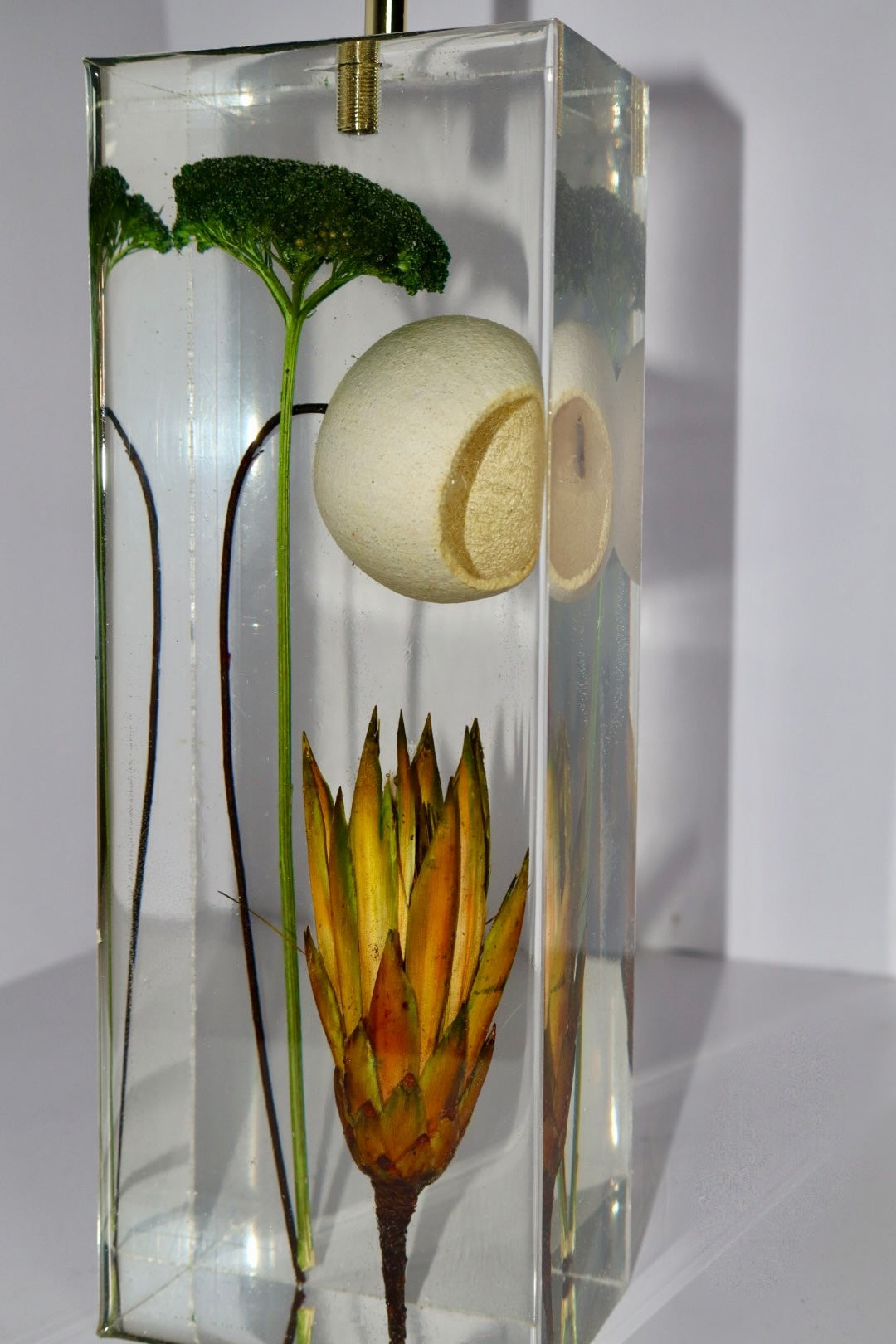 Protea Moss Lamp