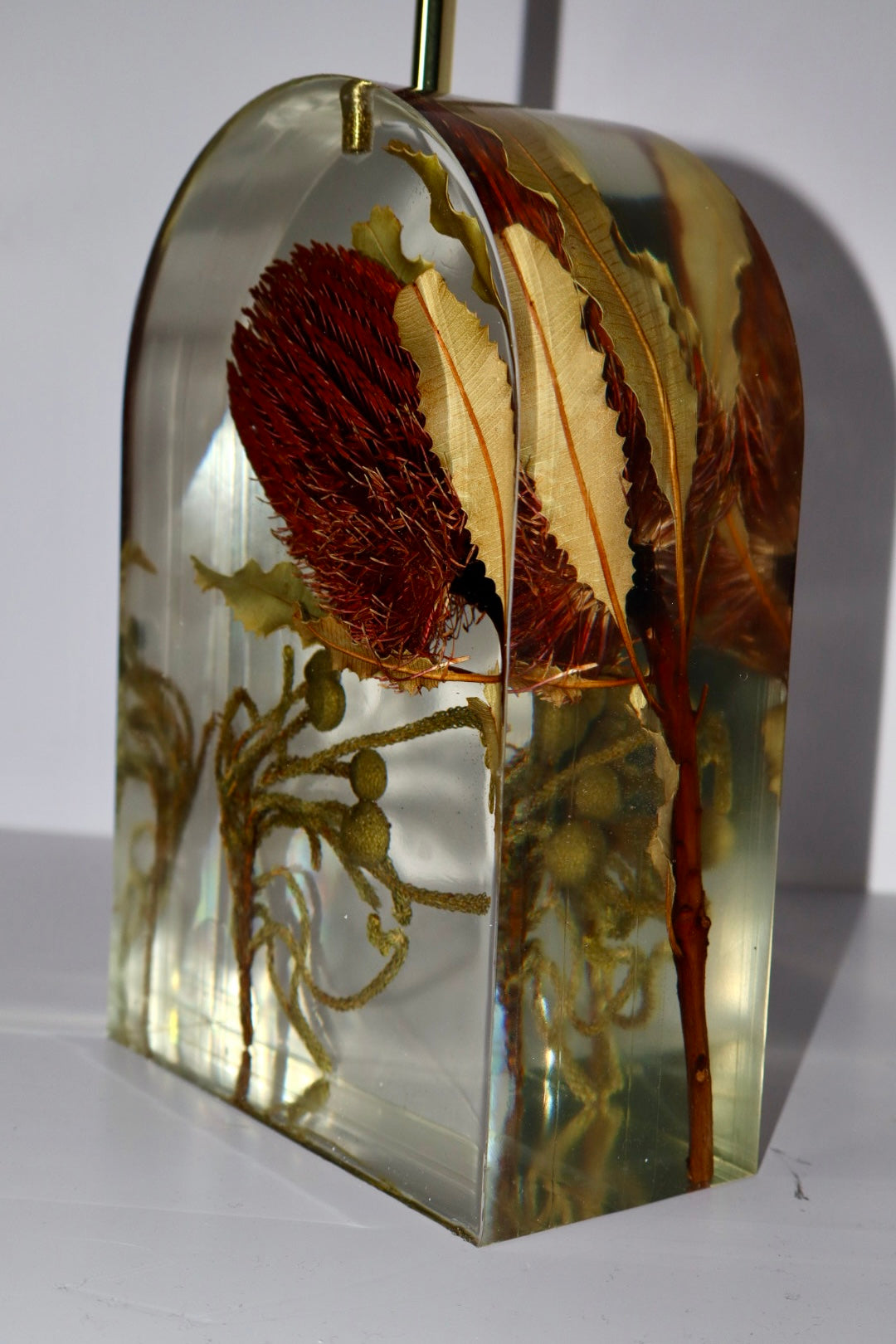 Banksia Lamp