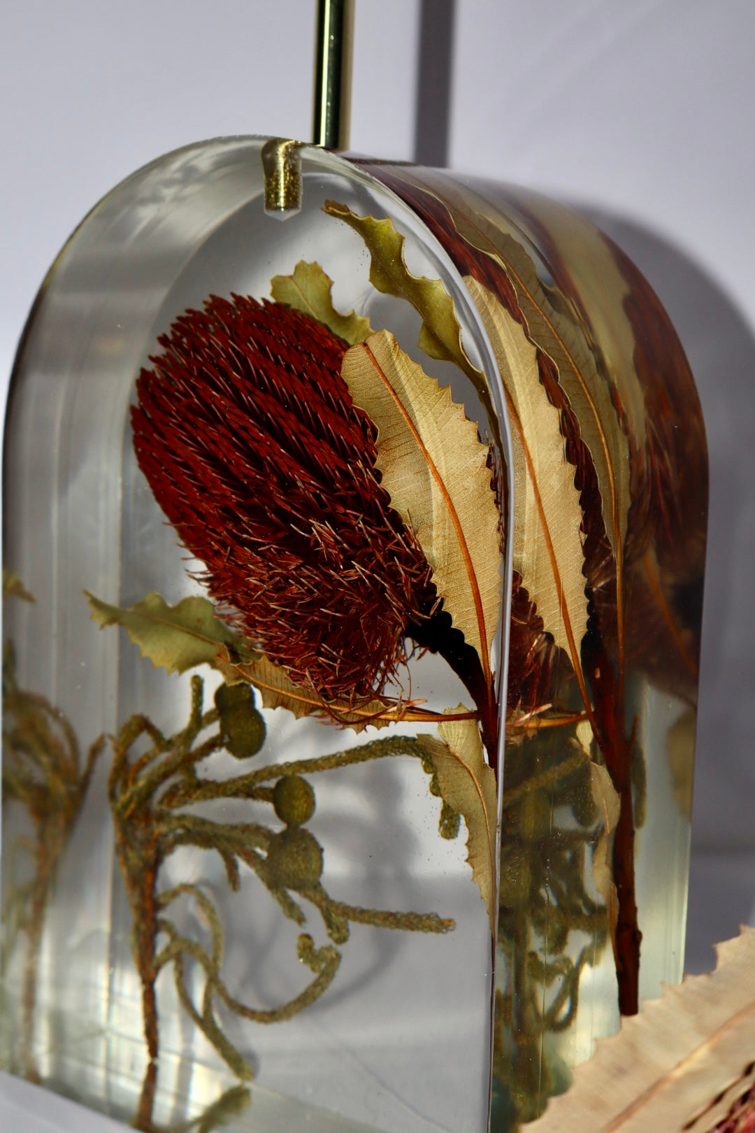 Banksia Lamp