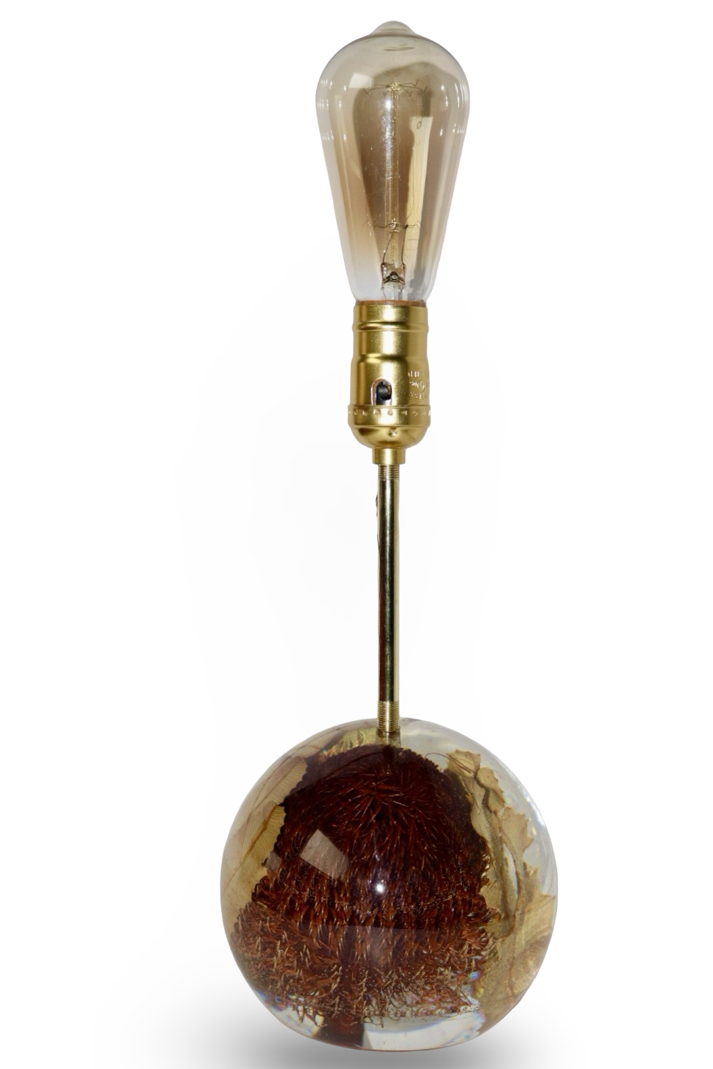 Banksia Lamp