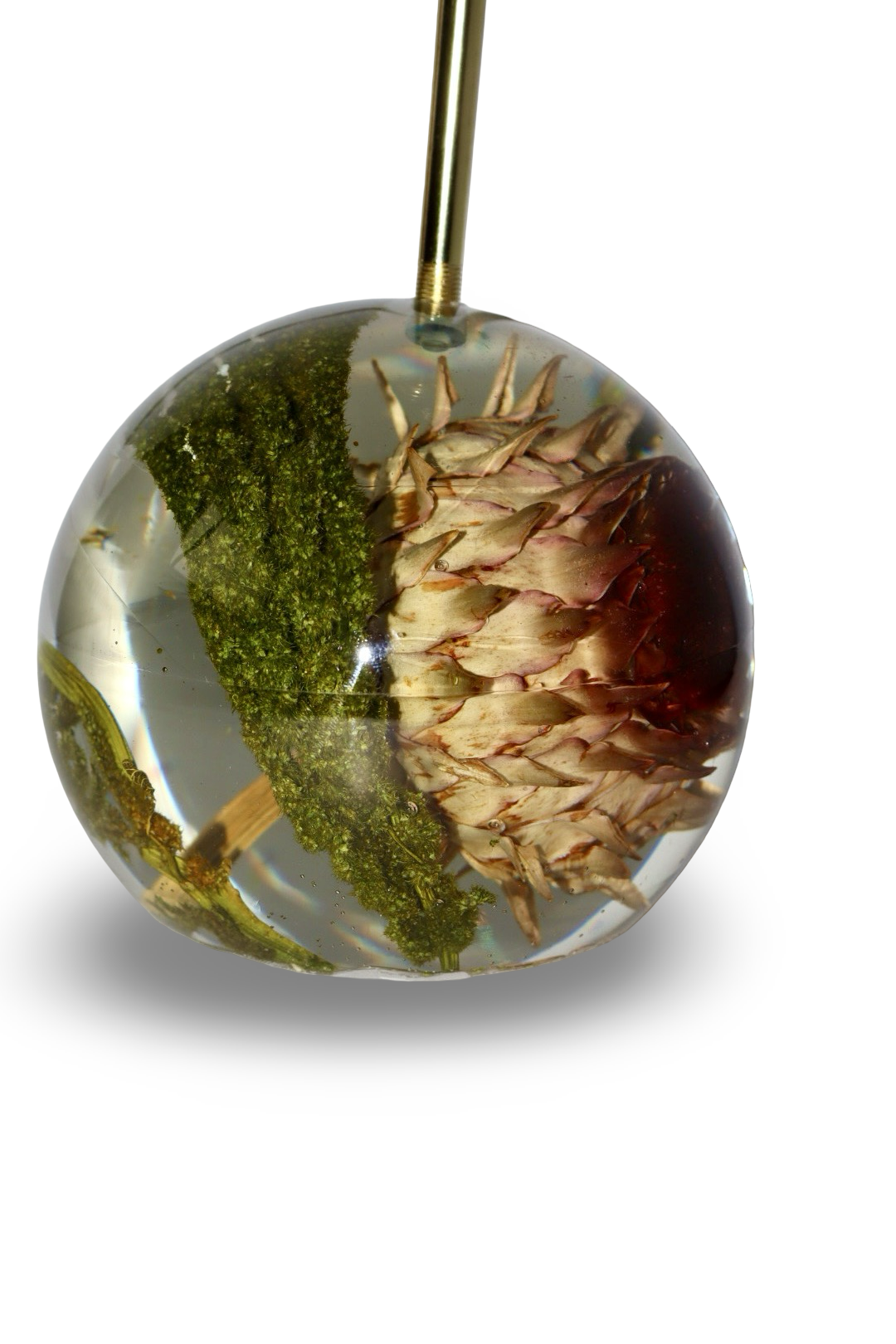 Sugarbush Lamp