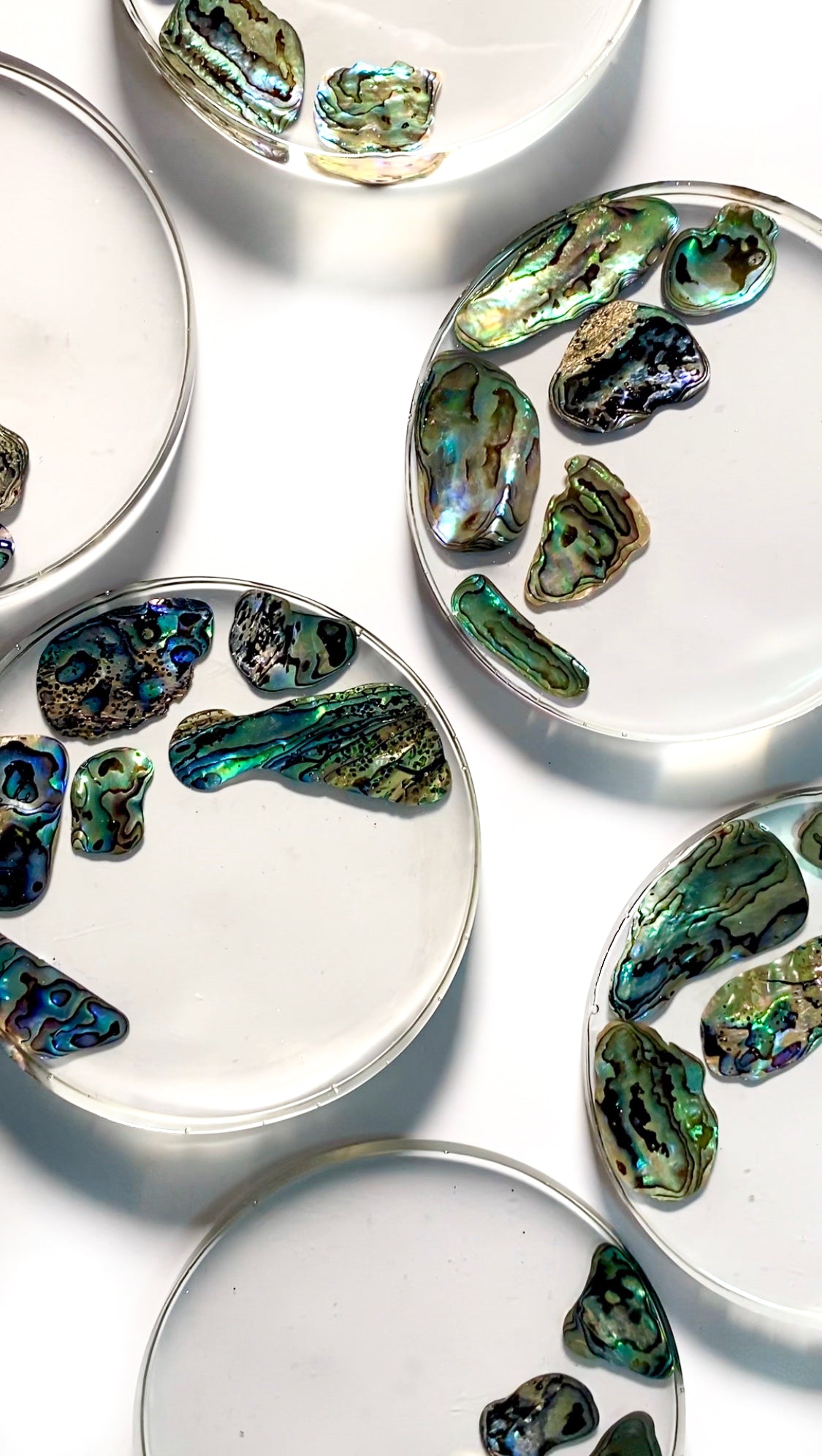 Abalone Shell Coaster Set