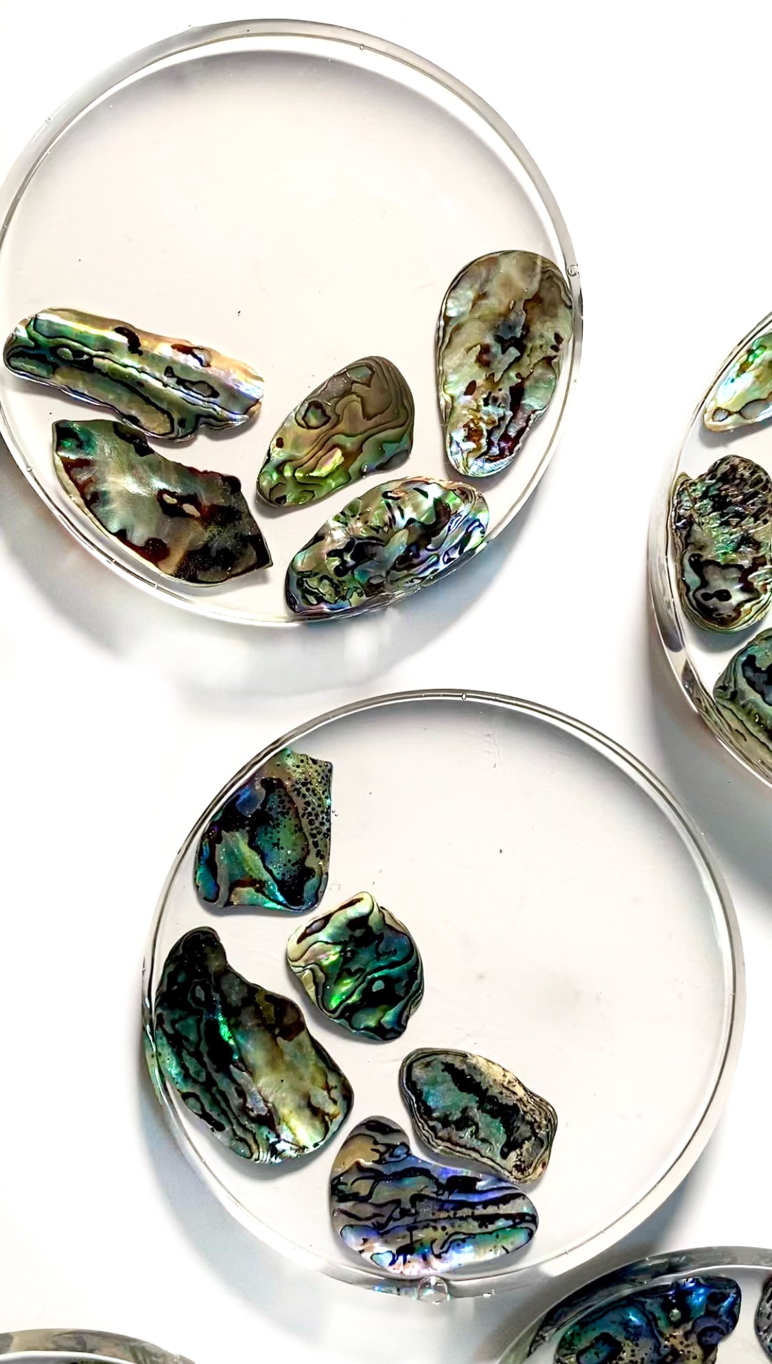 Abalone Shell Coaster Set