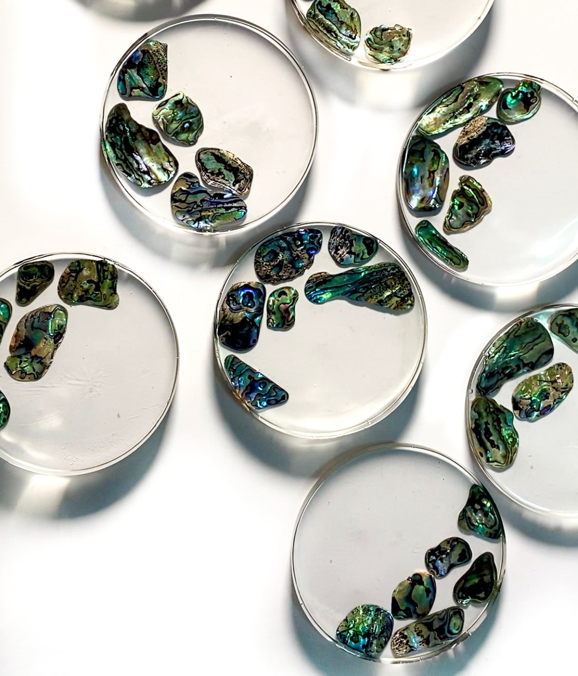 Abalone Shell Coaster Set