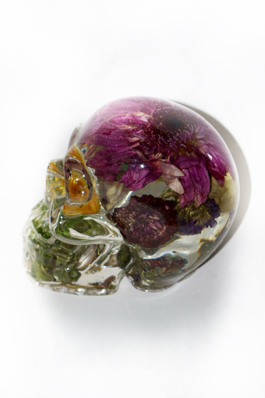 Daisy on my Mind Skull
