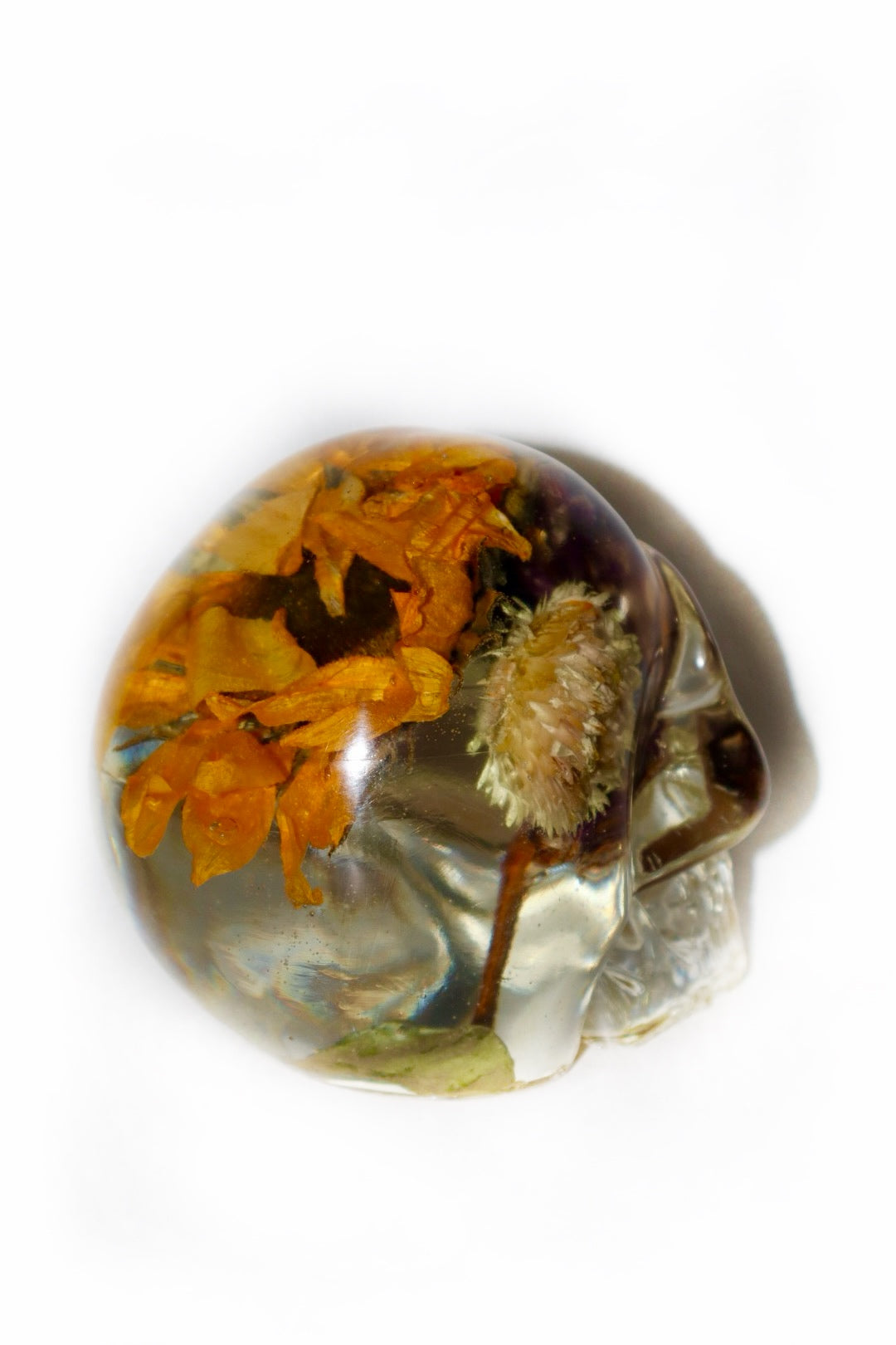 A Clear Mind Skull