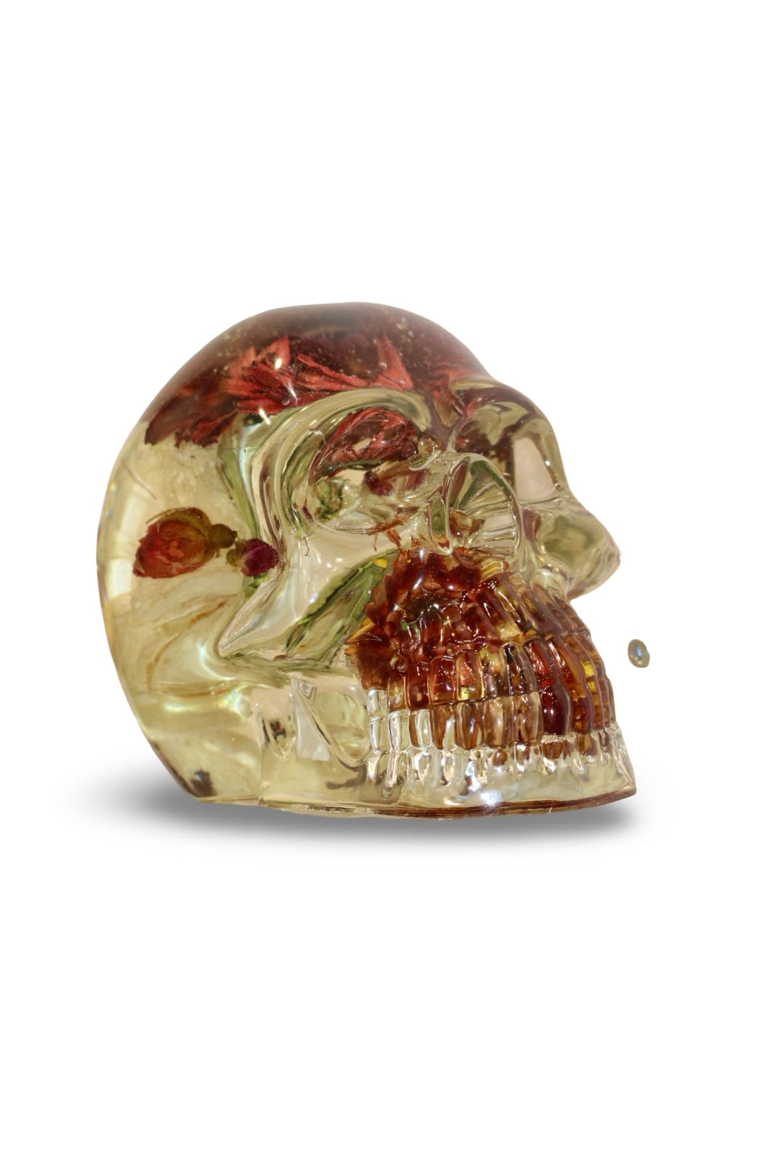 Santana Skull