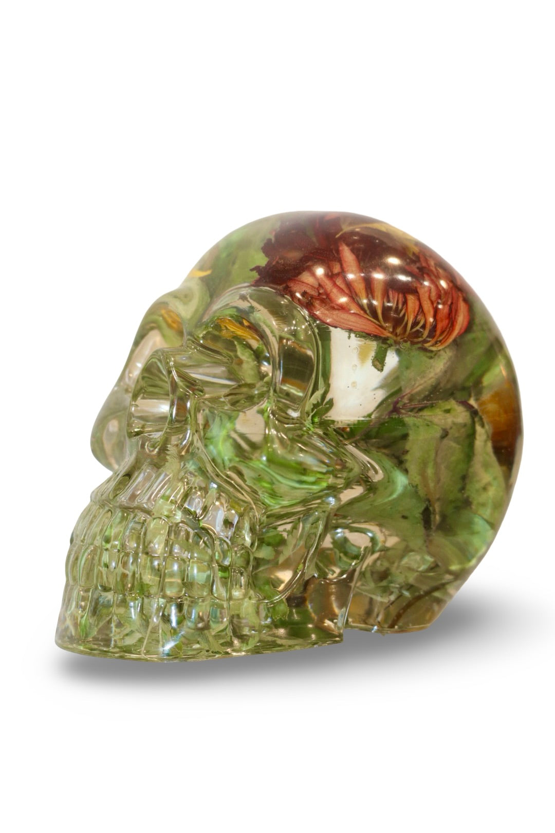 Fallen Leaves Skull