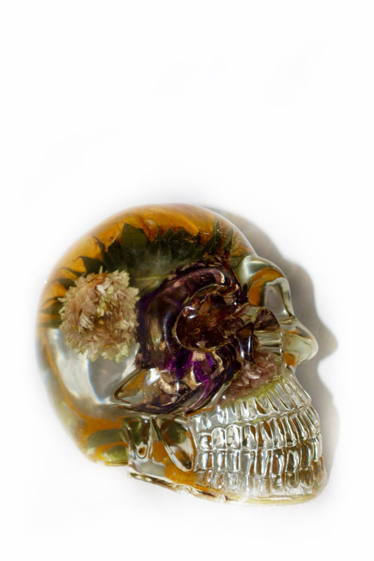 A Clear Mind Skull