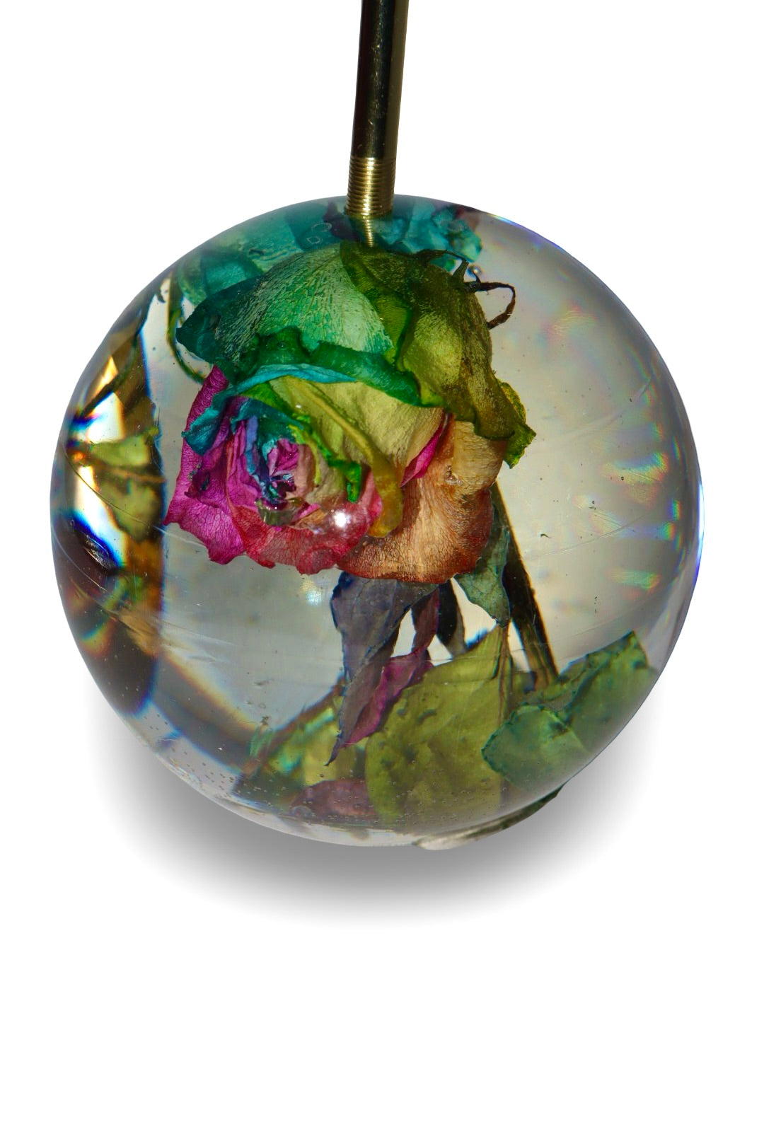 Rainbow Dome Lamp