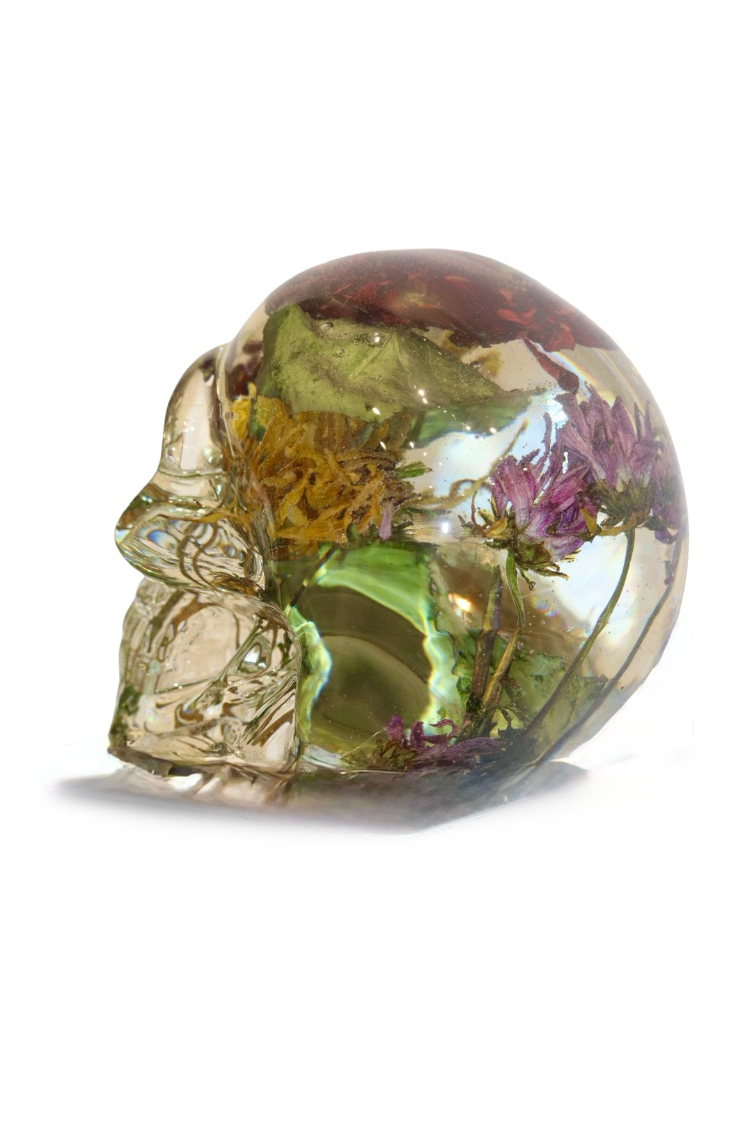 The Thinker Skull