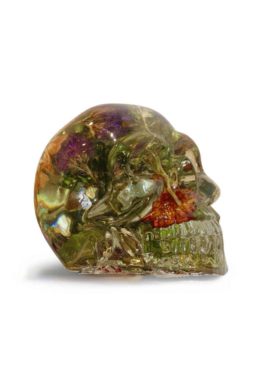 Sara Skull