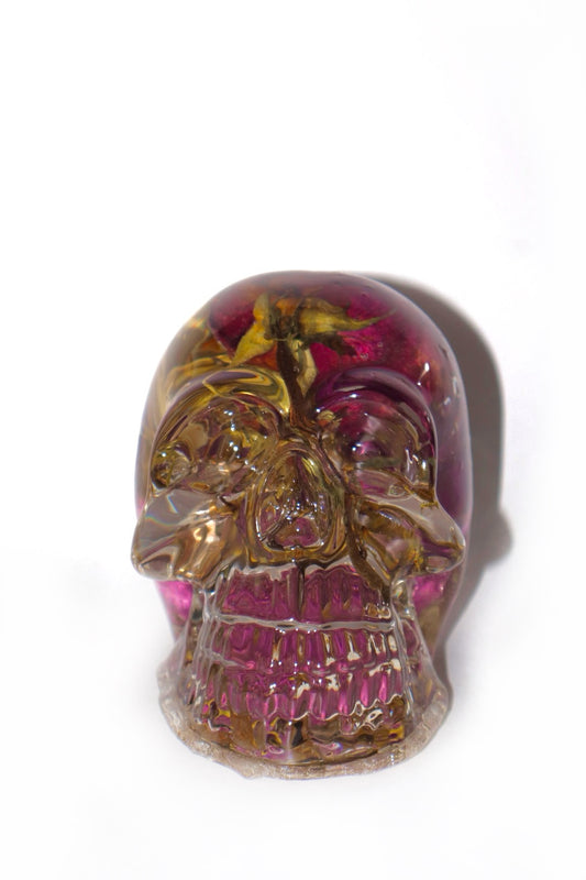 Meadows Skull