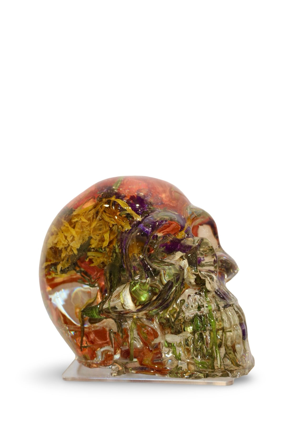 ROSElyn Skull