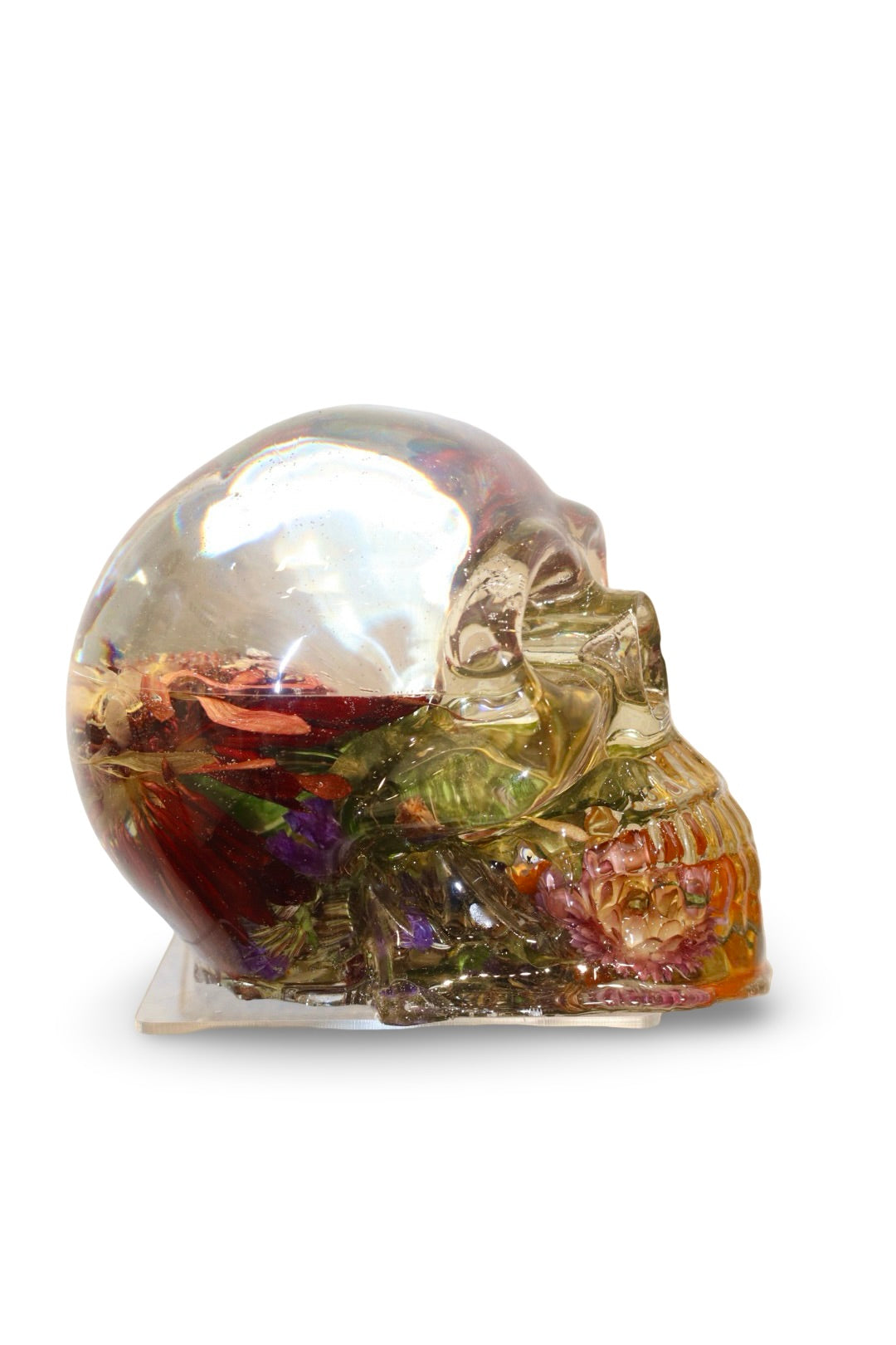 Clear Mind Skull
