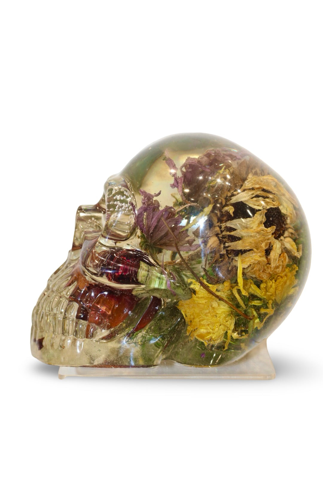 Sunny Skull
