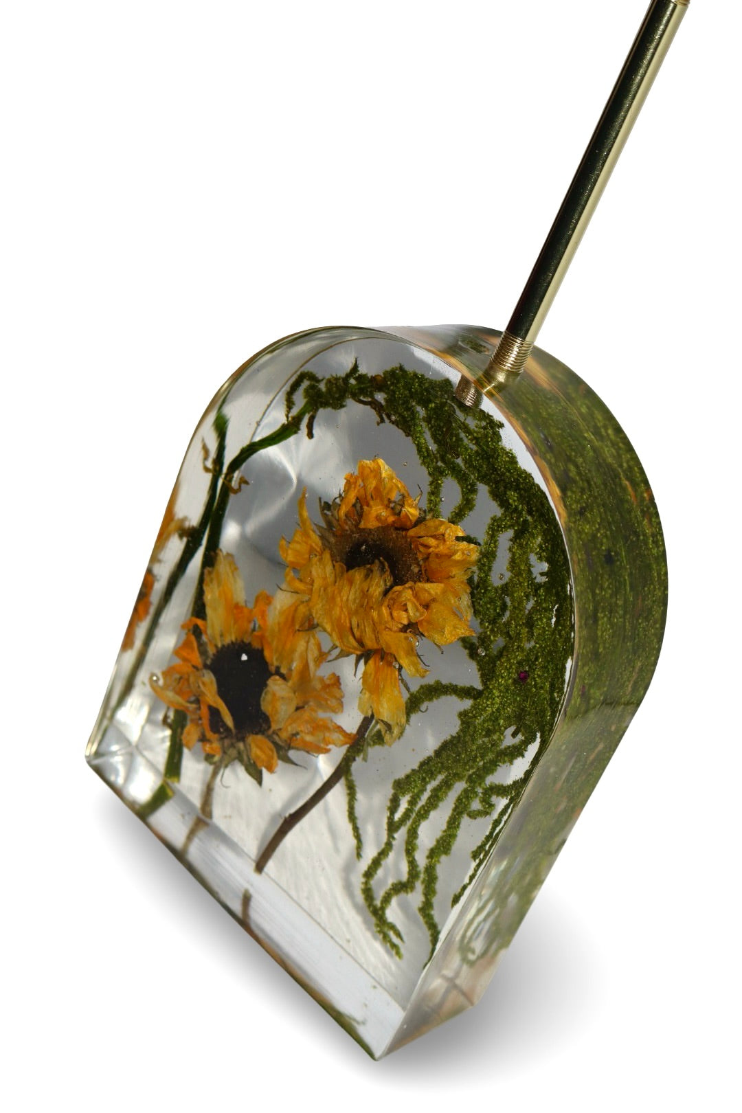 Sweet Sunshine Lamp