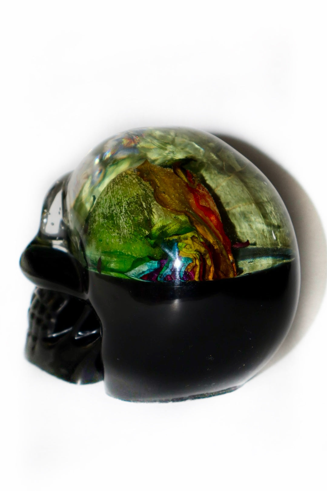 Kiss the Rainbow Skull