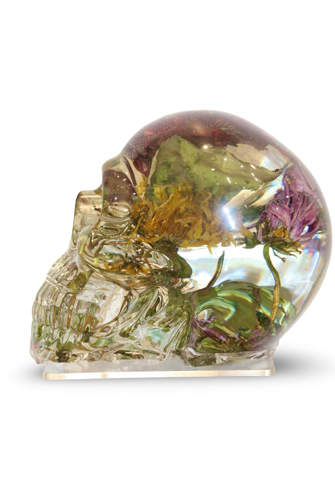 The Thinker Skull