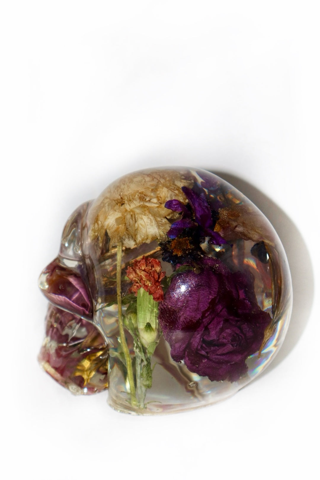 Beneath the Flowers II Skull