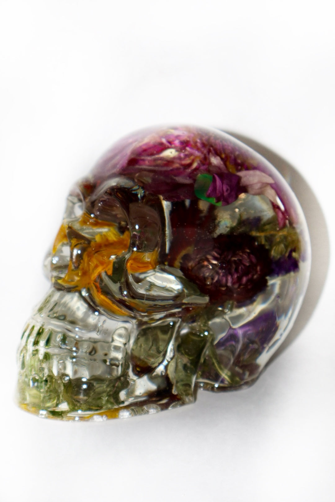 Daisy on my Mind Skull