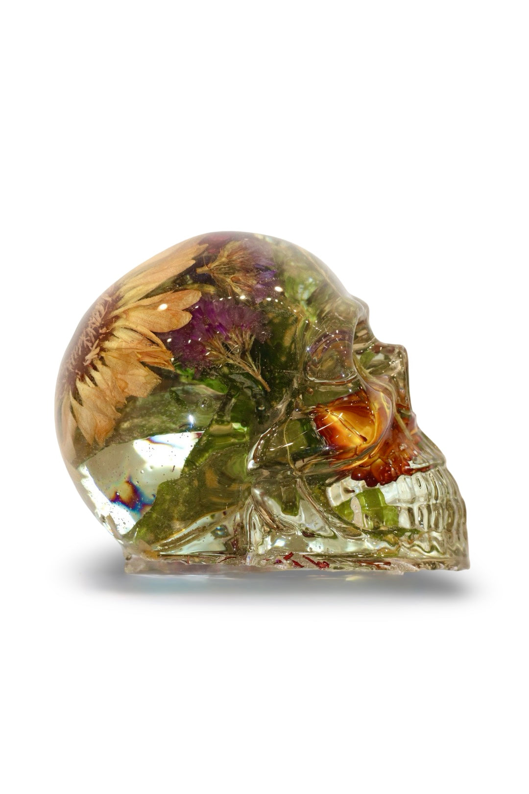 Sara Skull