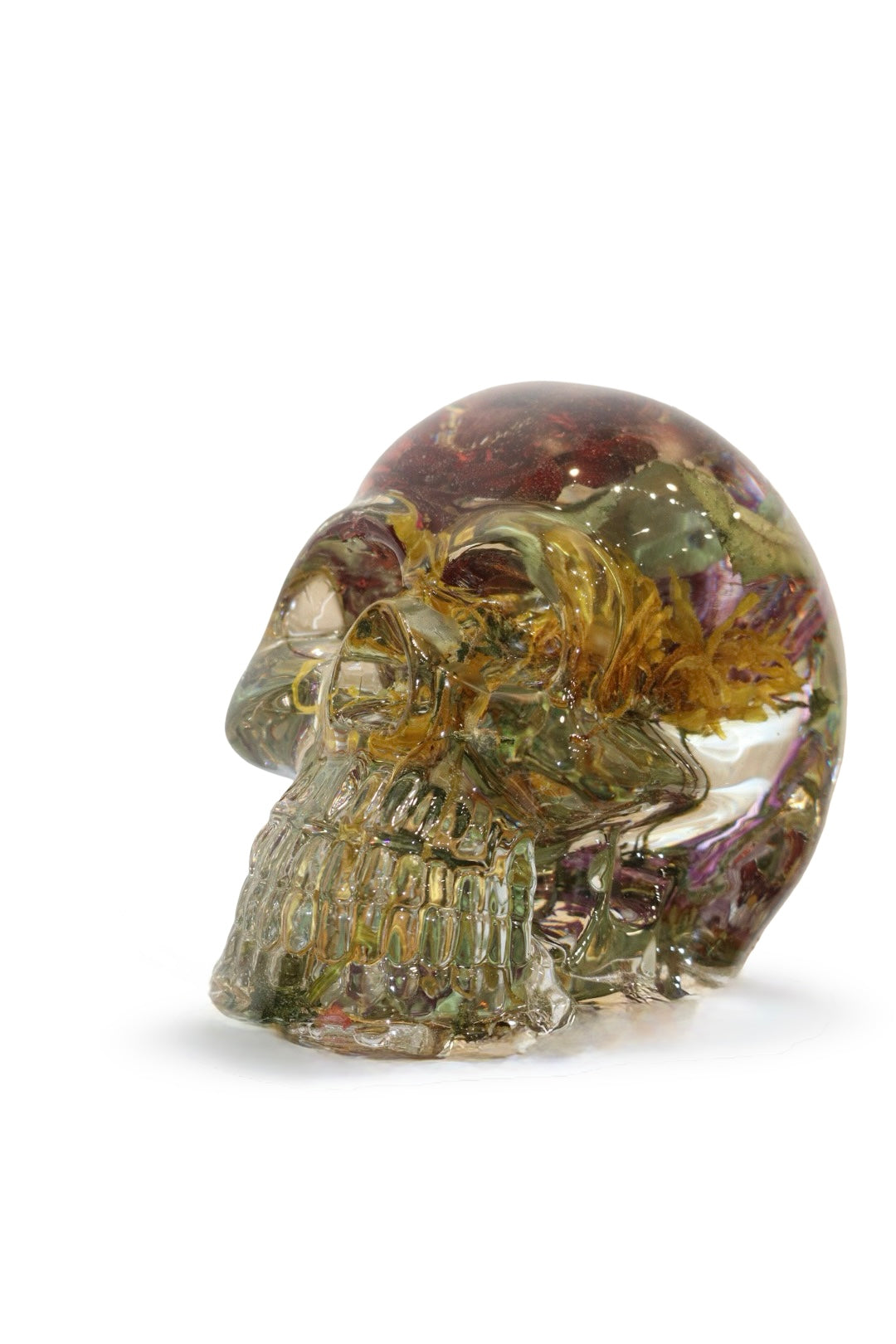 The Thinker Skull