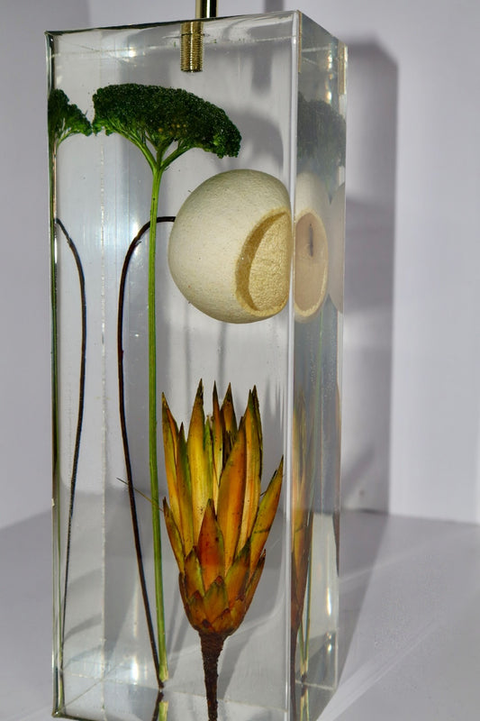 Protea Moss Lamp
