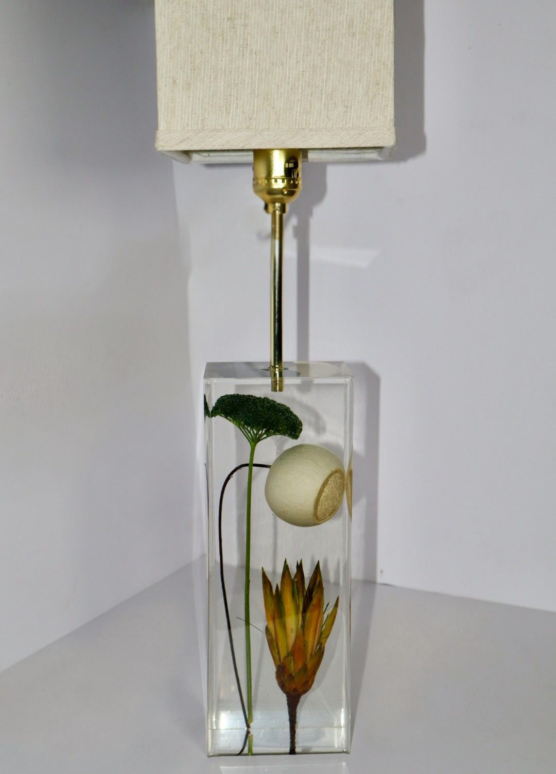 Protea Moss Lamp