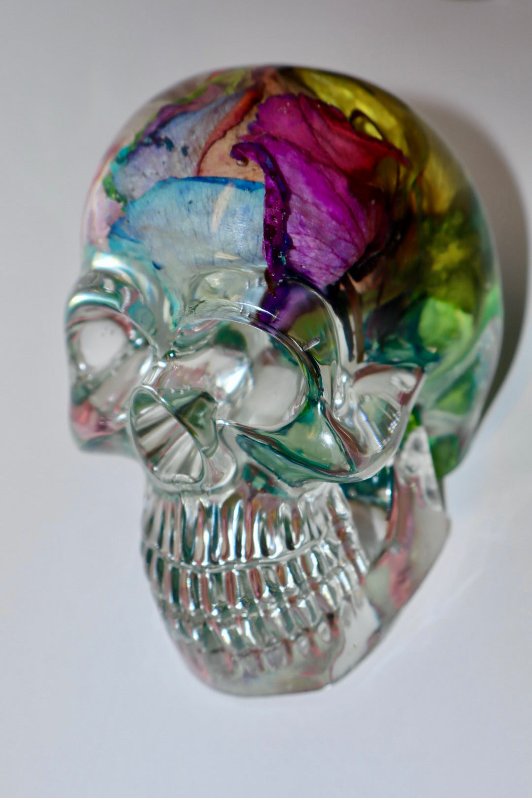 Rainbow Roses Skull