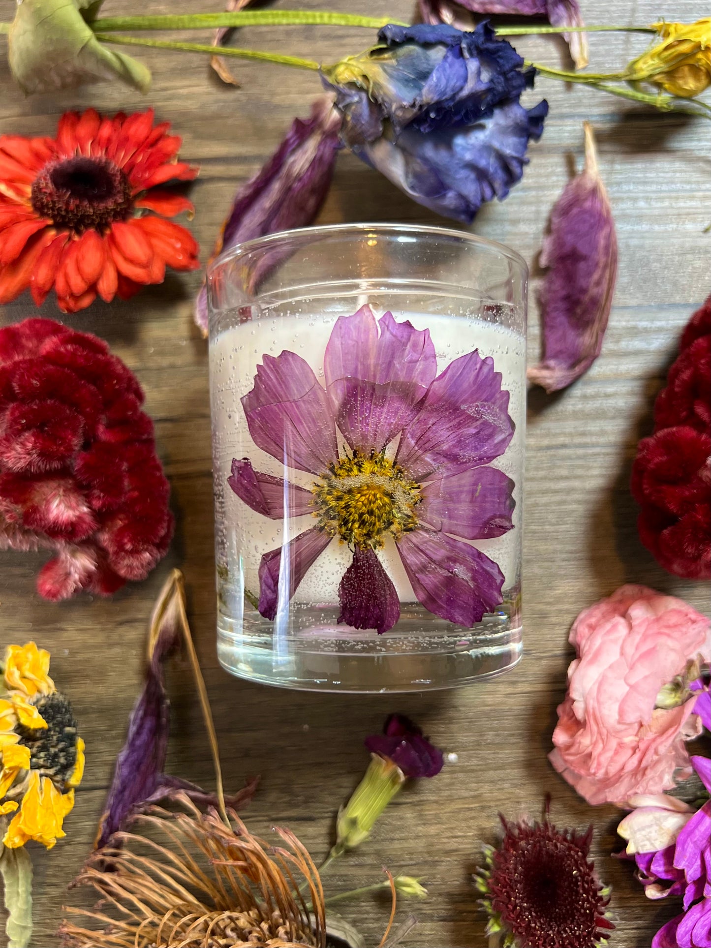 Botanical Transparent Candle - Rosa Zinnia