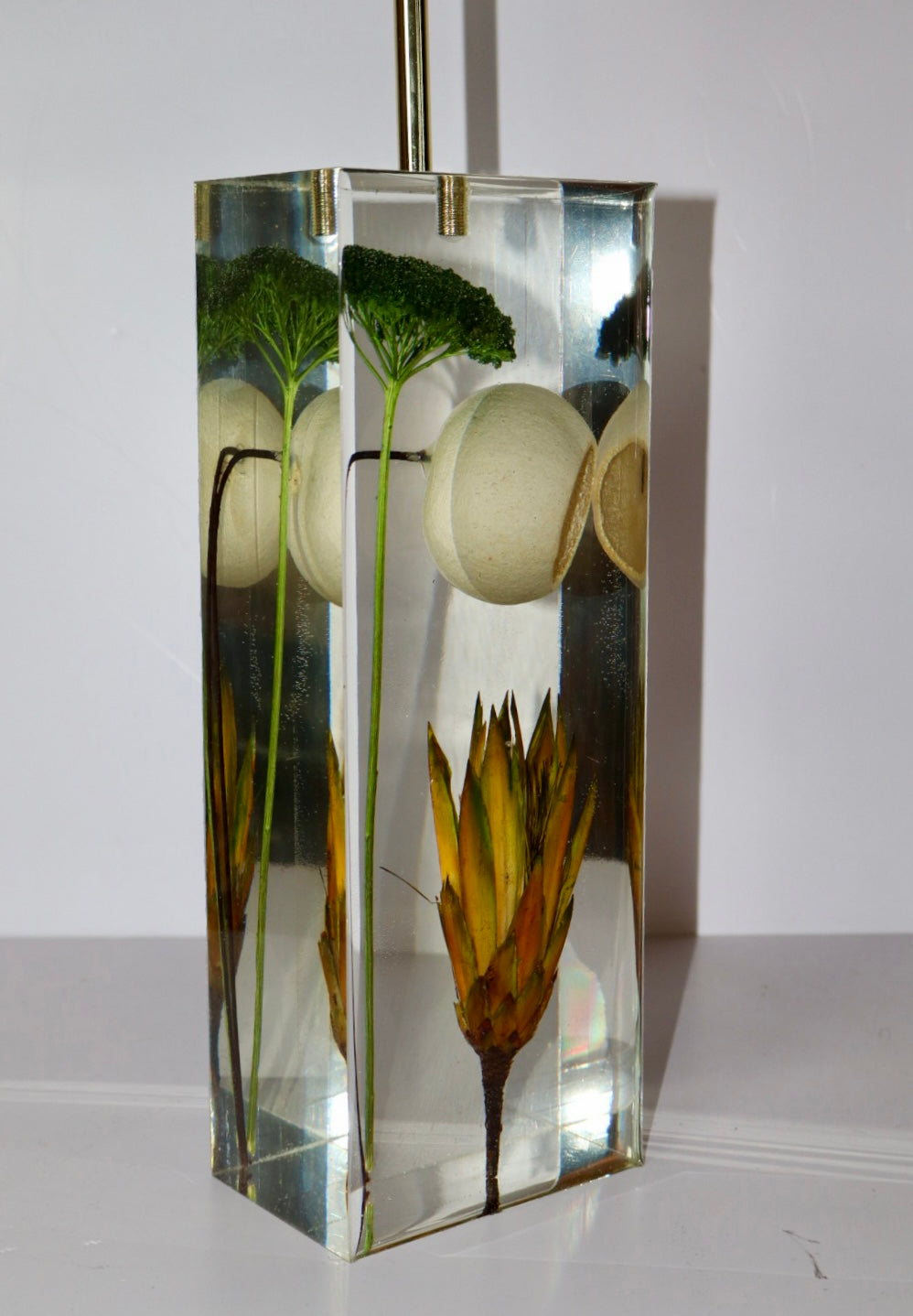 Protea Moss Lamp