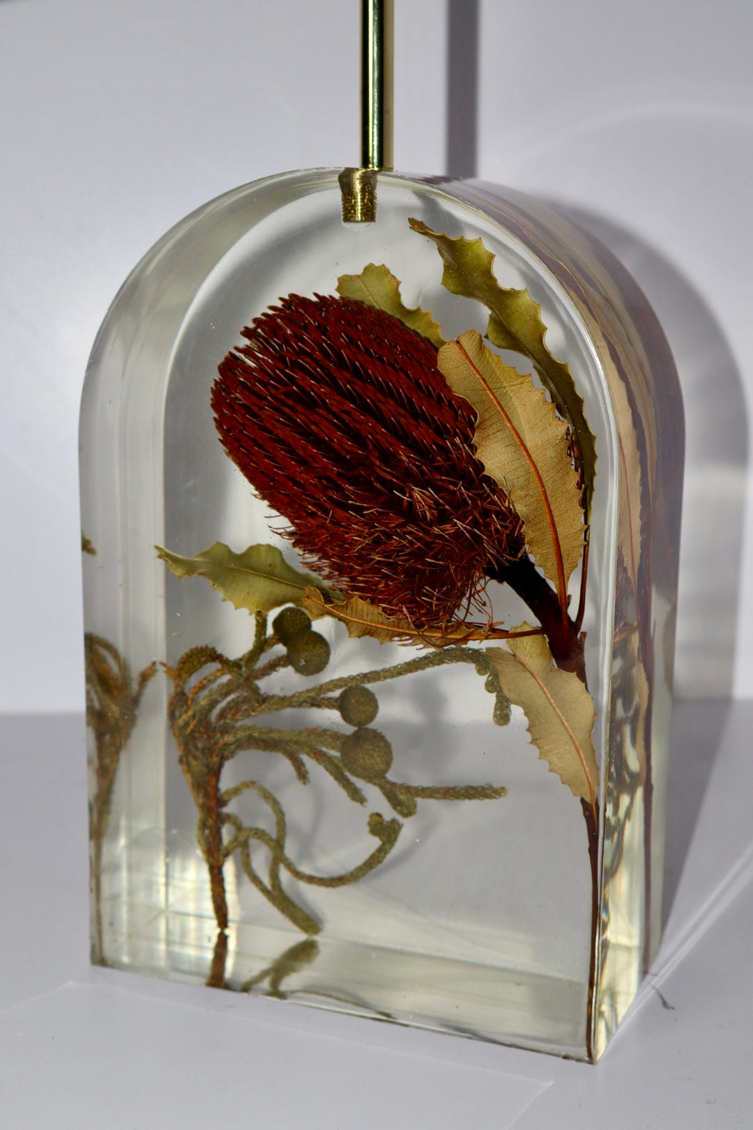 Banksia Lamp