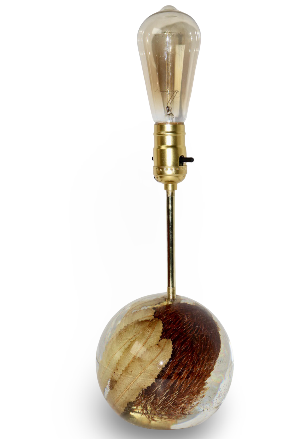 Banksia Lamp