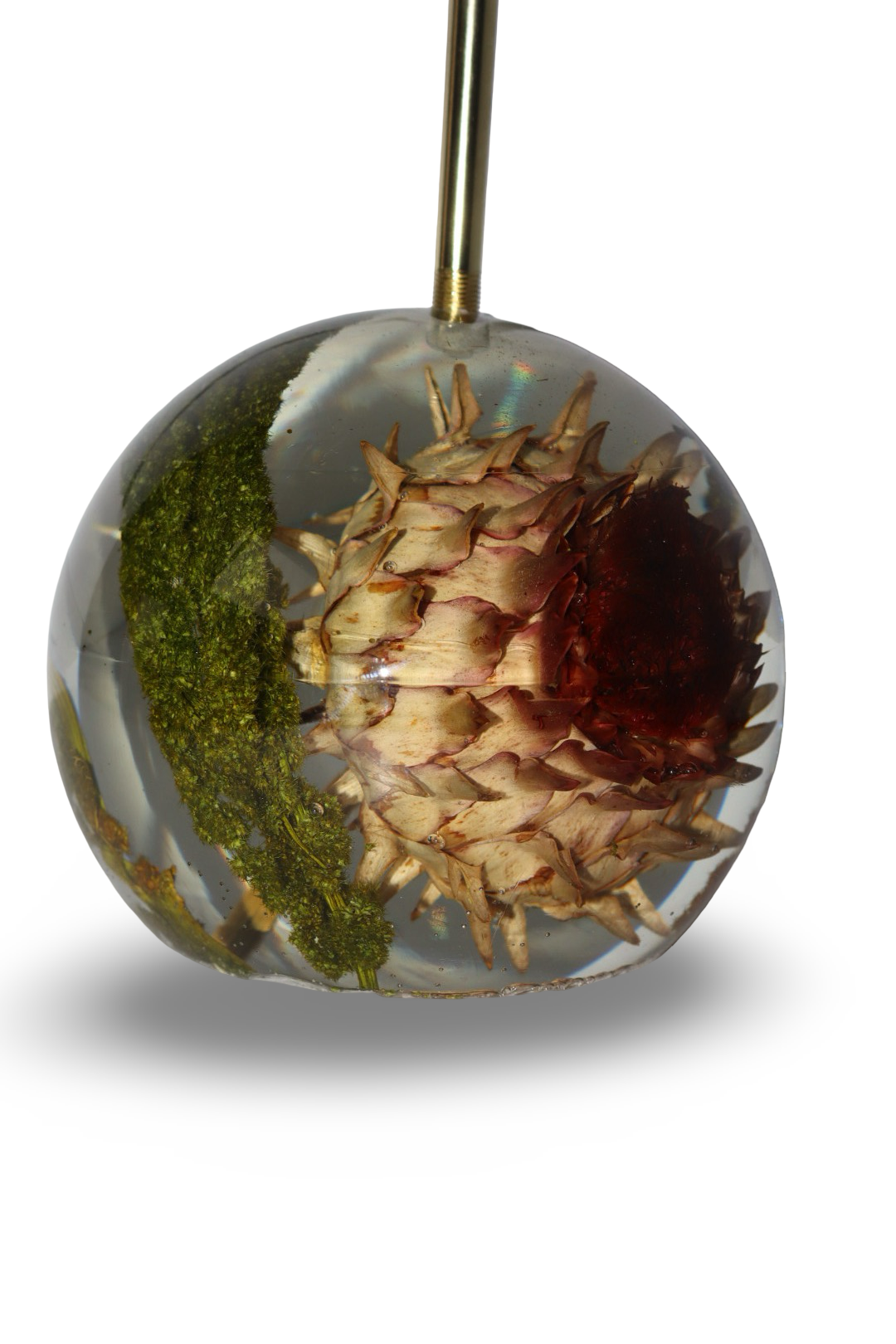 Sugarbush Lamp