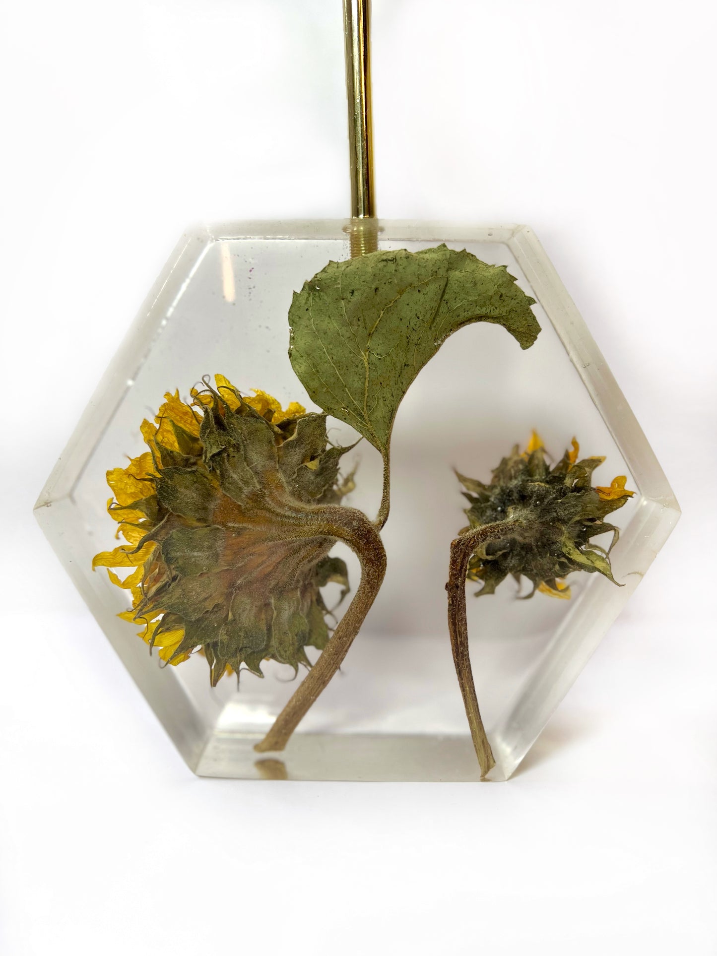 Sunflower Lamp