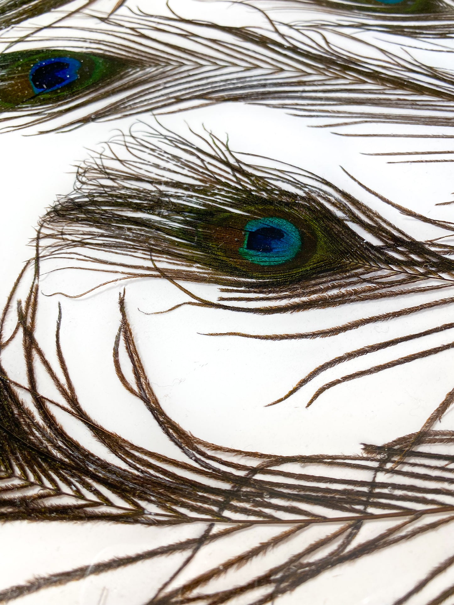 Peacock Serving Tray