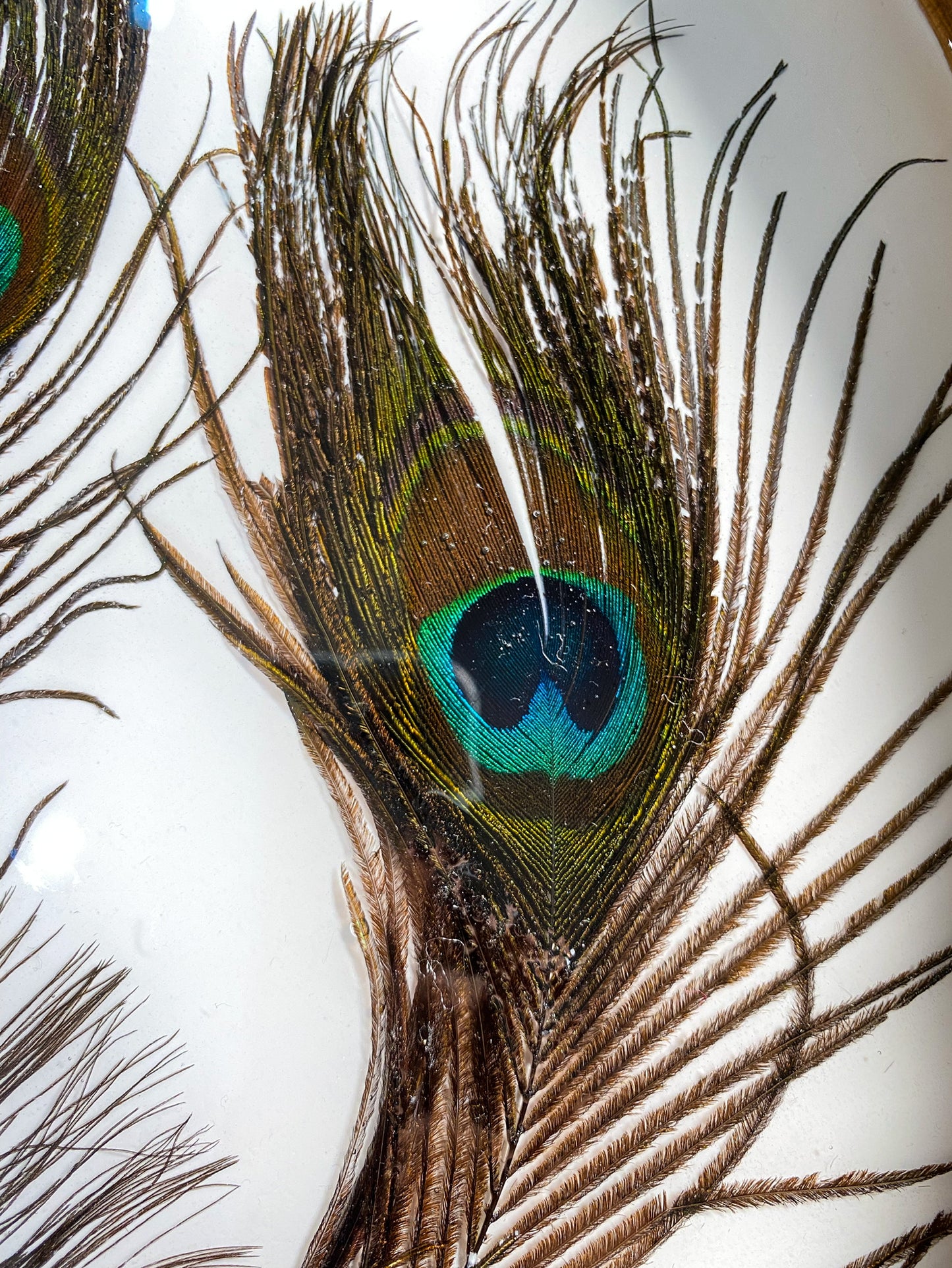 Peacock Serving Tray